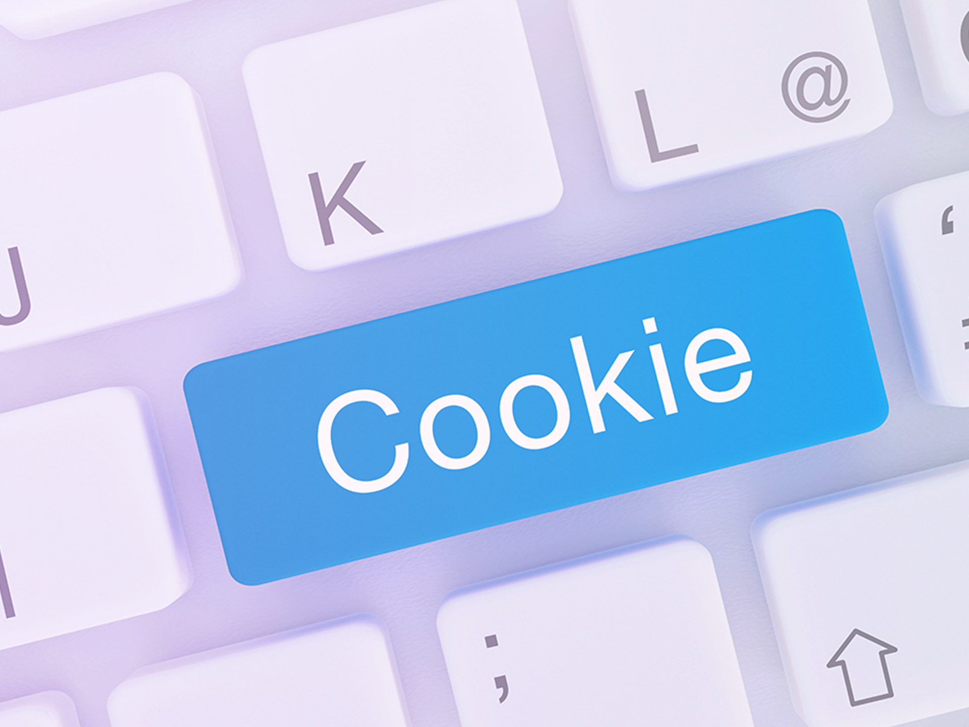 Politique Des Cookies BPCE Lease
